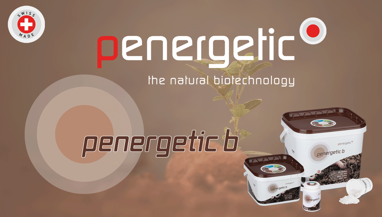 Penergetic B Soil