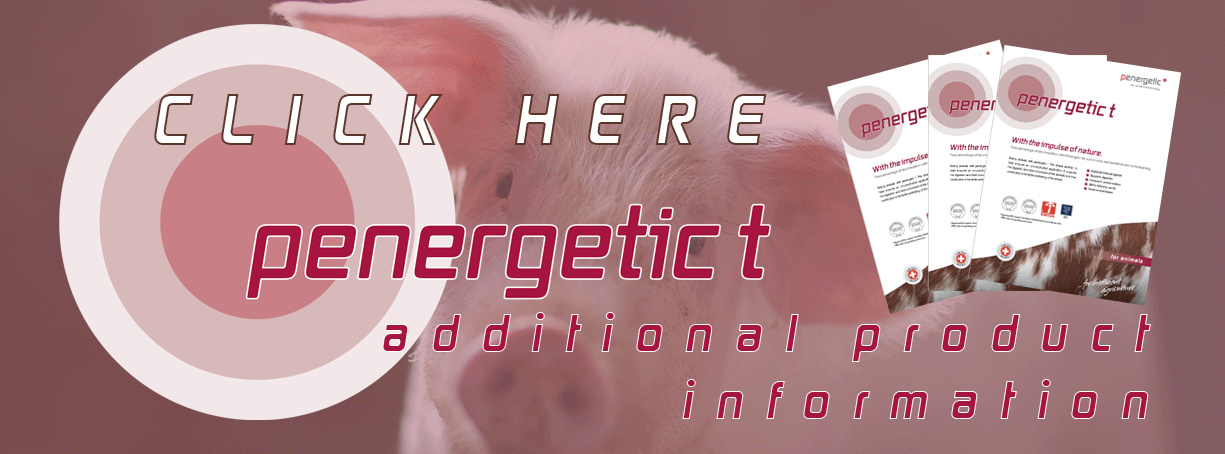 Penergetic T Information